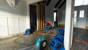 Ally 1 Disaster Solutions - Homepage