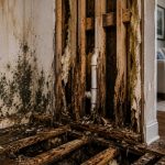 water damage