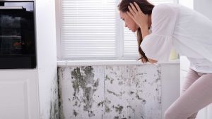 Mold Remediation Spread